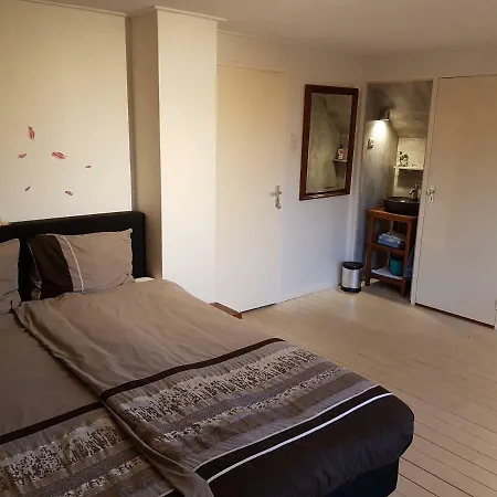 Molenzicht 3* נוטדורפ
