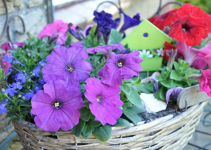 Molenzicht Отель типа 