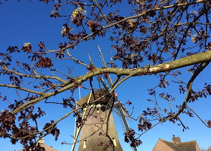 Couette-café Molenzicht 3*