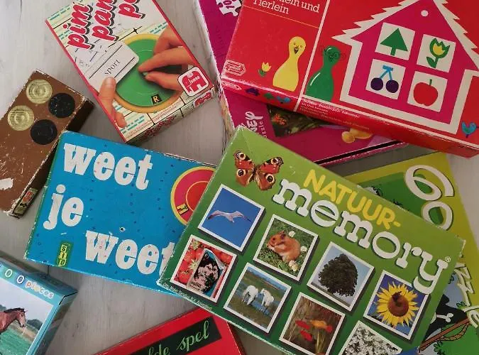 Molenzicht 3* Нотдорп