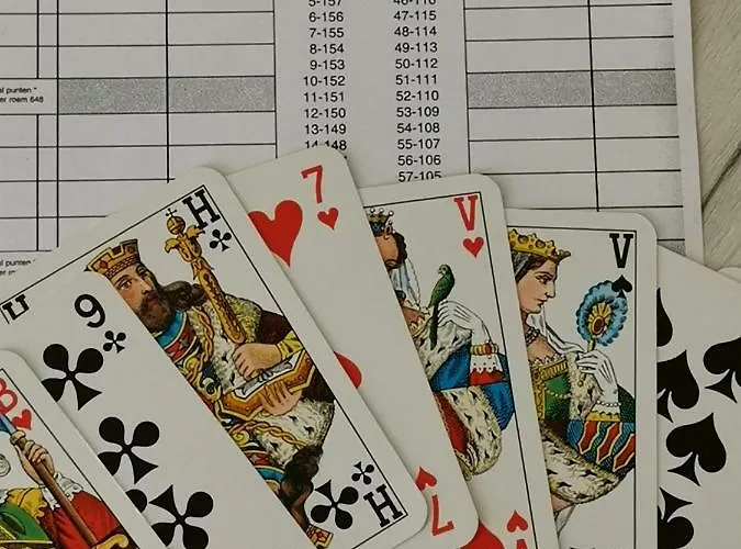 Molenzicht 3* Нотдорп