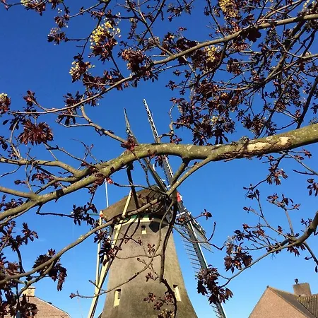 Nocleg ze śniadaniem Molenzicht 3*